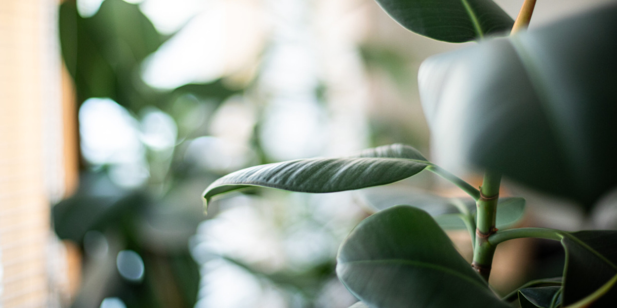 Cubo_interior4_1200x600px